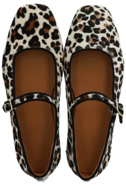 Angulus 1704-101< Ballerinaer