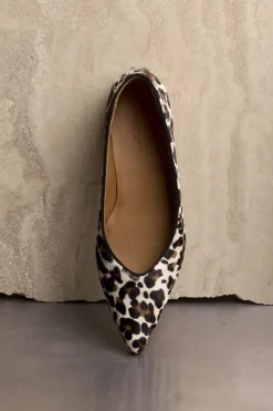 1711-101 1711-101*Angulus Best