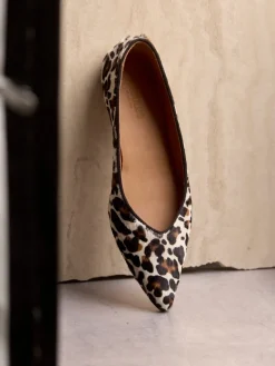 1711-101 1711-101*Angulus Best