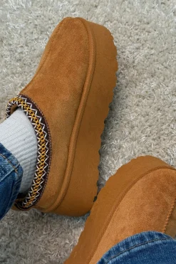 Acacia Slipper*Bloom Hot