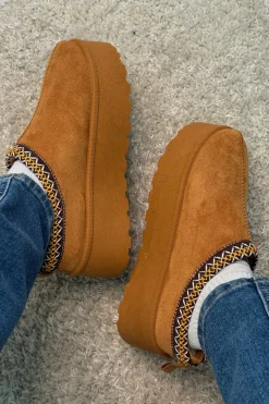 Acacia Slipper*Bloom Hot