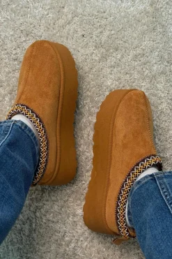 Acacia Slipper*Bloom Hot