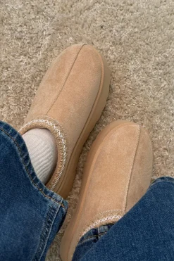 Acacia Slipper*Bloom