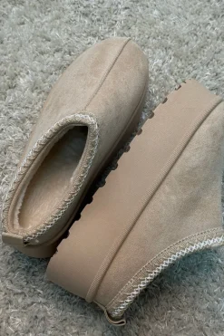 Acacia Slipper*Bloom