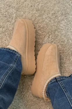 Acacia Slipper*Bloom