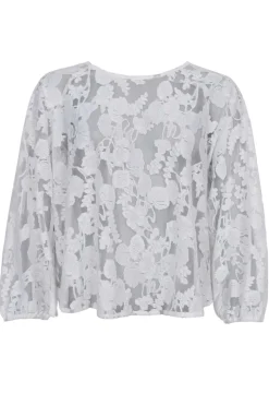 Bcdream Lace Blouse 40856*Black Colour Online