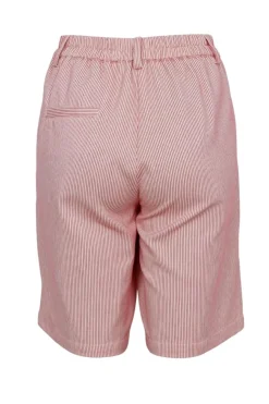 Black Colour Bclolly Shorts 40872< Shorts