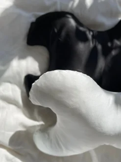 Betræk til Le Grand 100% silke White*Save My Face Sale