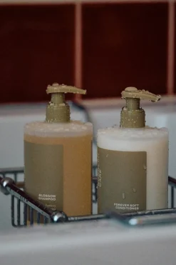 Blossom Shampoo 7010100*Rudolph Care Clearance