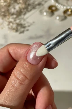 Chrome Powder Set CHR003*Le Mini Macaron Clearance