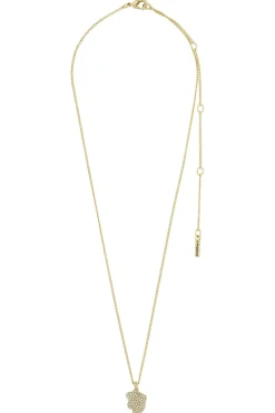 Connect 142442001*Pilgrim