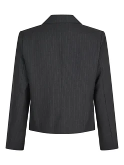Djarla Pinstripe Blazer*Neo Noir