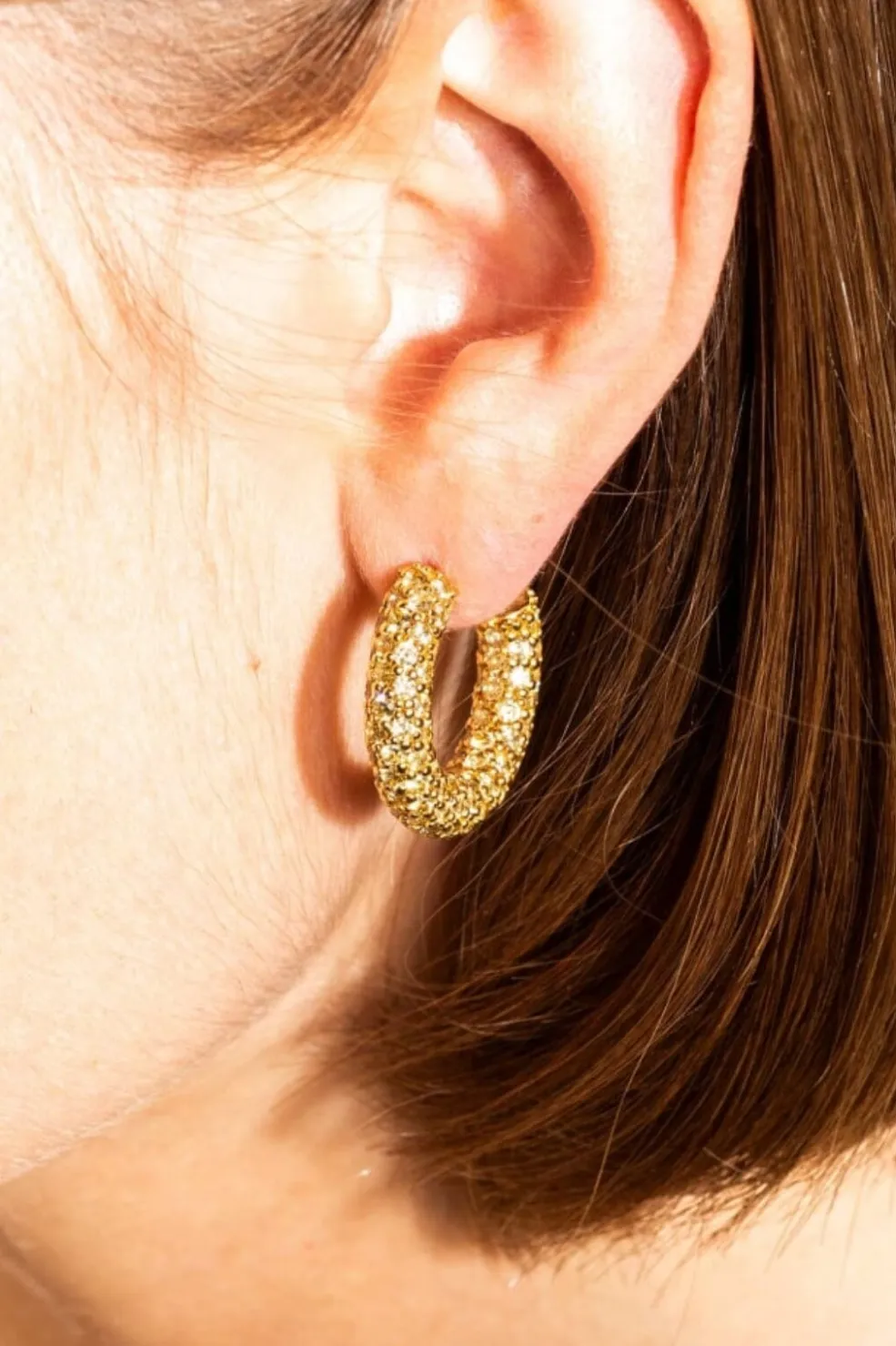 Halo Heritage Hoop Earrings*House Of Vincent New