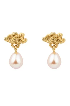 House Of Vincent Hollow Cloud Earrings< Øreringe