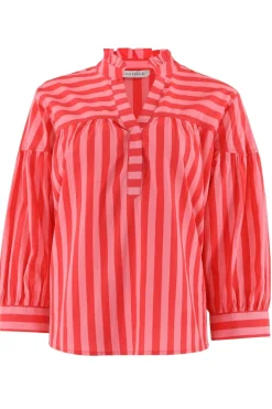 Ida 14858*Continue Best