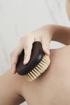 Ionic body brush*Meraki Online