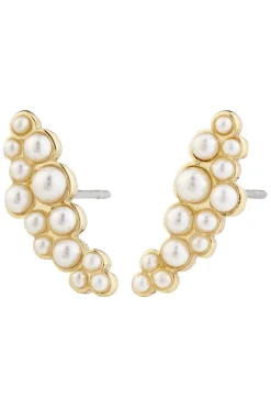 Jova 652512053*Pilgrim Best