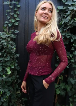 Mesh Ls Sparkle Tshirt 22134*Liberte Best