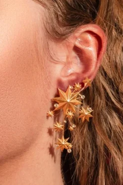 Night Poetry Earrings*House Of Vincent Clearance