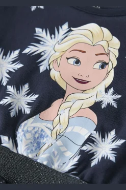 Nmfosimi Frozen Ls Tulle Dress Lnoos Wdi*Name It