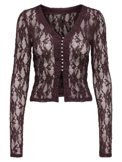 Only Onlalba L/S V-Neck Lace Top< Bluser & Skjorter