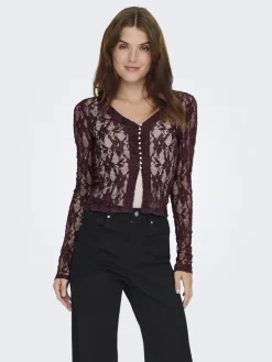 Only Onlalba L/S V-Neck Lace Top< Bluser & Skjorter
