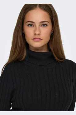 Onllouis Ls Rollneck Cable Dress At Knt*Only