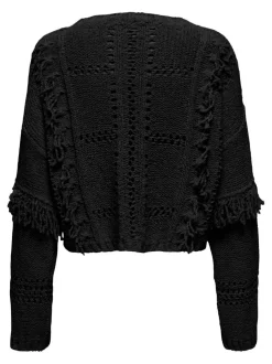 rsa Life Ls Fringe O-Neck Cc Knt*Only Online