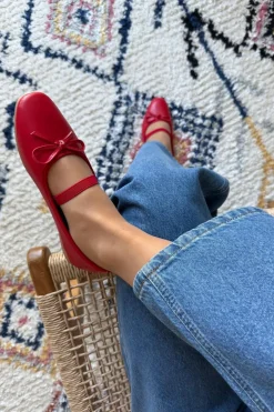 Bloom Orchid< Bloom|Ballerinaer