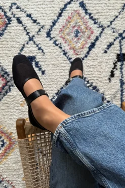 Primula Ballerina*Bloom