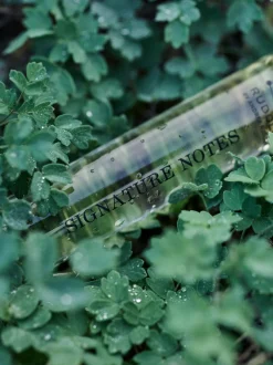 Signature Notes Huile de Parfum Purse Edition*Rudolph Care Clearance