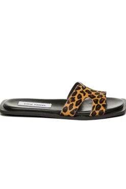 Sofia-L SM11003524*Steve Madden Hot