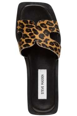 Sofia-L SM11003524*Steve Madden Hot