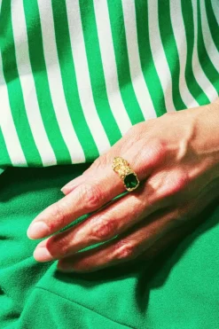 House Of Vincent Stolen Possession Ring< Ringe