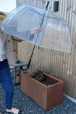 Transparent Umbrella 6511*Mellow Moon Online